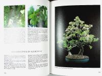 BONSAI