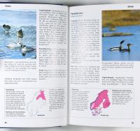 NORDENS F&Aring;GLAR