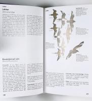 NORDENS F&Aring;GLAR