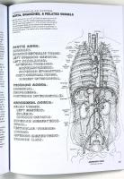 ANATOMY COLORING BOOK &ndash;  Pearson New International Edition