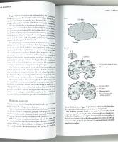 V&Aring;R TIDS PSYKOLOGI