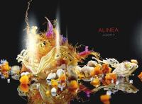 DE SUBLIME / the sublime / 25 &ndash; Utvalgt fra the World's 50 best Restaurants [med text p&aring; danska och engelska]