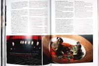 DE SUBLIME / the sublime / 25 &ndash; Utvalgt fra the World's 50 best Restaurants [med text p&aring; danska och engelska]