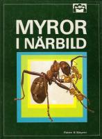 Myror i n&auml;rbild