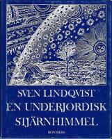 En underjordisk stjärnhimmel : personligt kalendarium