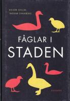 F&aring;glar i staden