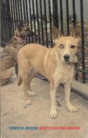 Ber&auml;ttelser fr&aring;n Amerika : noveller