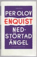 Nedst&ouml;rtad &auml;ngel