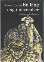 En l&aring;ng dag i november