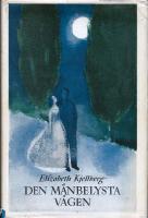 Den m&aring;nbelysta v&auml;gen