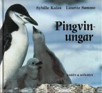 Pingvinungar