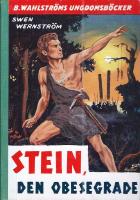 Stein, den obesegrade : ber&auml;ttelse fr&aring;n den yngre sten&aring;ldern