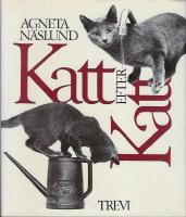 Katt efter katt