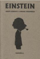 Einstein f&ouml;r envar 