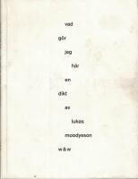 Vad g&ouml;r jag h&auml;r : en dikt