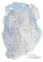 Gravg&aring;vor : fragmentarium