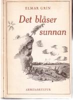 Det bl&aring;ser sunnan