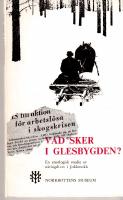 Vad sker i glesbygden? En etnologisk studie av n&auml;ringslivet i Jokkmokk