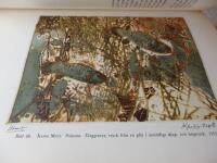 Om Grafik Historia och Teknik