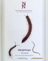 M&aring;ngfotingar. Myriapoda (Nationalnyckeln till Sveriges flora och fauna) 
