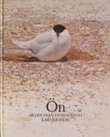 &Ouml;n - bilder fr&aring;n en sandrevel