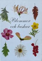 Blommor och buskar