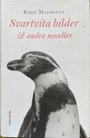 Svartvita bilder & andra noveller