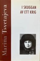 I skuggan av ett krig. M&ouml;ten och samtal 1917-1919