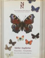 Fj&auml;rilar : Dagfj&auml;rilar. Hesperiidae - nymphalidae