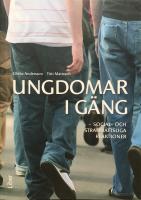 Ungdomar i g&auml;ng : social- och straffr&auml;ttsliga reaktioner