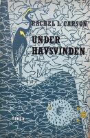 Under havsvinden