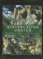 Vintergr&ouml;na v&auml;xter