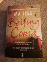 Beijing Coma