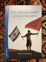 Det splittrade Israel? : politiska och sociala skiljelinjer