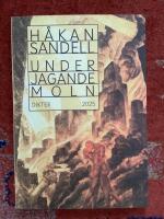 Under jagande moln - dikter 2025