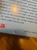 P&aring; mammas gator