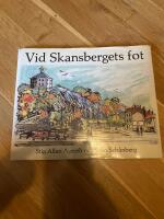 Vid Skansbergets fot : Hagastudier i bild och ord