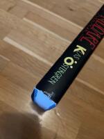 Fattiga riddare och stora svenskar : roman