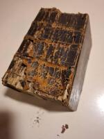 Trones Kamp och Seger, thet &auml;r: Om the Fr&auml;stelser/ med hwilke Troon uthi ett Gudz Barns hierta sw&aring;rligen anf&auml;chtas; hwar ifr&aring;n the komma: huru m&aring;nge slagh the &auml;ro: huruledes ett roligt samwet skal sig ther uthi f&ouml;rh&aring;lla  / och med hwad tr&ouml;st och medel them w&auml;ldeligen &ouml;fwerwinna och gladeligen f&ouml;rdrifwa. The enfaldige / klenmodige och be&auml;ngstige samweten til een klar underwijsning/ och effter m&aring;ngens &ouml;nskan/ f&ouml;r dess os&aring;thlige nytta hoos sw&aring;rmodige menniskior, p&aring; w&aring;rt swenske spr&aring;k w&auml;nd aff Tobia Andre&aelig; Bi&ouml;rk, past. i Bi&ouml;rskogh i W&auml;stmanneland. Medh Oloff Gr&aring;&aring;s, f&ouml;rn&auml;hm borgares och handelsmans vthi Stockholm, egen bekostnad