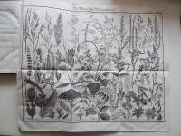 Das Aufhelfungs : Futter- und Weidebuch f&uuml;r kleinere und gr&ouml;ssere Landwirthe, welche ihre G&uuml;ter selbst bewirthschaften; insbesondere f&uuml;r selbstwirthschaftende Gutsbesitzer, P&auml;chter, Wirthschaftsbeamte, Pfarrherren, Landschullehrer und den Bauersmann. Mit mehr als 150 Abbildungen der brauchbarsten Gr&auml;ser und Kr&auml;uter f&uuml;r die verbesserte Gr&uuml;nd&uuml;ngung so wie f&uuml;r den Futter- und Weidebau. Nebst einem Anhang zur leichten und schnellen Vergleichung und Vereinigung der Europ&auml;ischen Maa&szlig;e und Gewichte in 5 Tabellen von C.H. Nebbien.