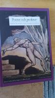 Poeter och profeter : fr&aring;n Platon till Mare Kandre