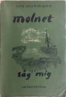 Molnet s&aring;g mig