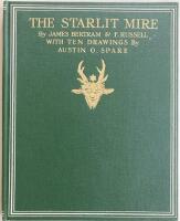 The Starlit Mire