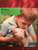 Grisen