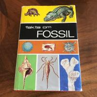 FAKTA OM FOSSIL