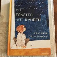 Mitt f&ouml;nster mot rymden