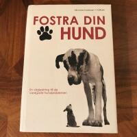 Fostra din hund : en v&auml;gledning till de vanligaste hundproblemen