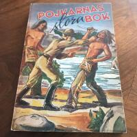 Pojkarnas stora bok 