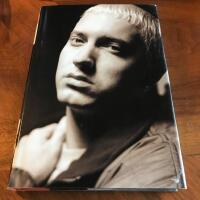 Whatever You Say I Am: The Life and Times of Eminem