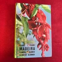 Madeira Flowers Blumen Blomster Blommor Flores Fleurs 